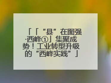 「“县”在图强·西峰①」集聚成势！工业转型升级的“西峰实践”