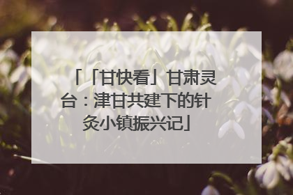 「甘快看」甘肃灵台：津甘共建下的针灸小镇振兴记