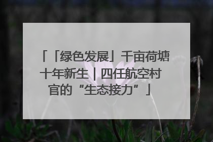 「绿色发展」千亩荷塘 十年新生｜四任航空村官的“生态接力”