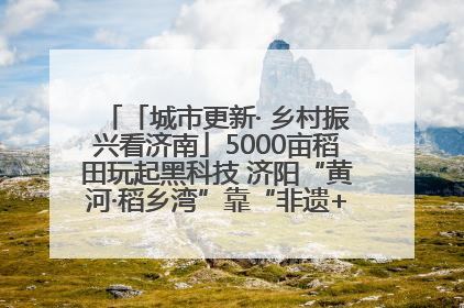 「城市更新· 乡村振兴看济南」5000亩稻田玩起黑科技 济阳“黄河·稻乡湾”靠“非遗+露营”火出圈