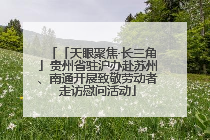 「天眼聚焦·长三角」贵州省驻沪办赴苏州、南通开展致敬劳动者走访慰问活动