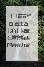 「青春华章·重走西北角」闪耀在博物馆里的青春力量