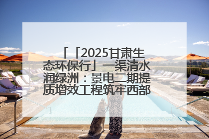 「2025甘肃生态环保行」一渠清水润绿洲：景电二期提质增效工程筑牢西部生态安全屏障