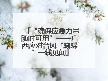 “确保应急力量随时可用”——广西应对台风“蝴蝶”一线见闻