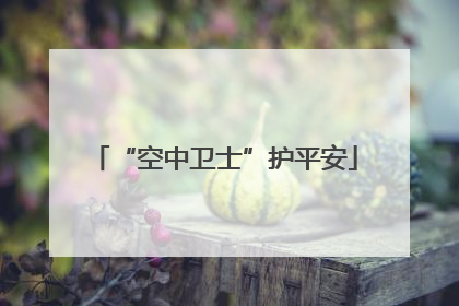 “空中卫士”护平安