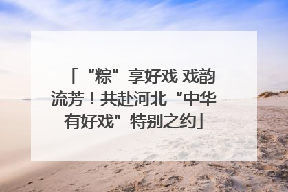 “粽”享好戏 戏韵流芳！共赴河北“中华有好戏”特别之约