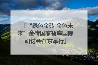“绿色金砖 金色未来”金砖国家智库国际研讨会在京举行