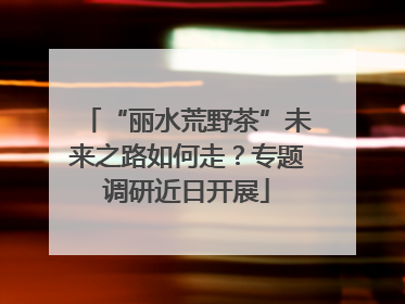 “丽水荒野茶”未来之路如何走？专题调研近日开展