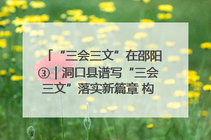 “三会三文”在邵阳③｜洞口县谱写“三会三文”落实新篇章 构建协同联动大格局