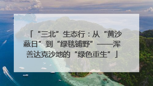 “三北”生态行：从“黄沙蔽日”到“绿毯铺野”——浑善达克沙地的“绿色重生”