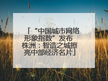 “中国城市网络形象指数”发布 株洲：智造之城擦亮中部经济名片