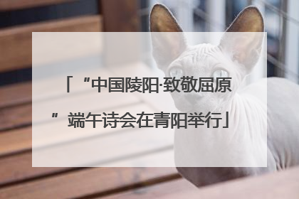 “中国陵阳·致敬屈原”端午诗会在青阳举行