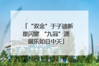“双金”于子迪新星闪耀 “九冠”潘展乐如日中天