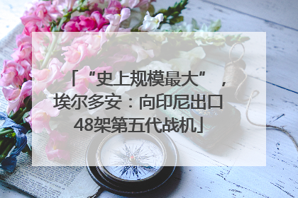 “史上规模最大”，埃尔多安：向印尼出口48架第五代战机