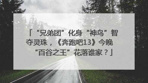 “兄弟团”化身“神鸟”智夺灵珠，《奔跑吧13》今晚“百谷之王”花落谁家？
