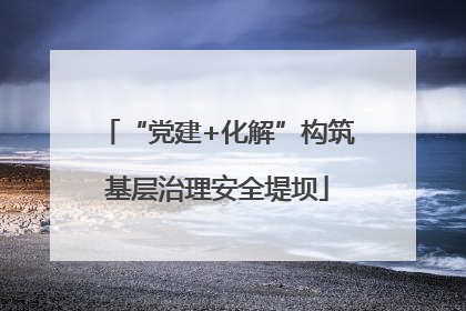 “党建+化解”构筑基层治理安全堤坝
