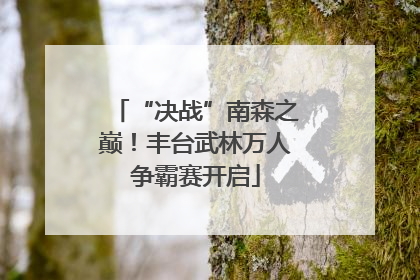 “决战”南森之巅！丰台武林万人争霸赛开启