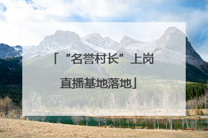 “名誉村长”上岗 直播基地落地