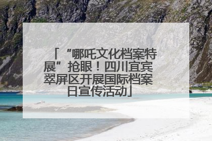 “哪吒文化档案特展”抢眼！四川宜宾翠屏区开展国际档案日宣传活动