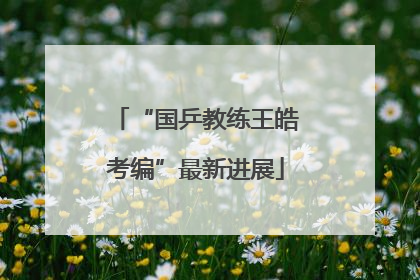 “国乒教练王皓考编”最新进展