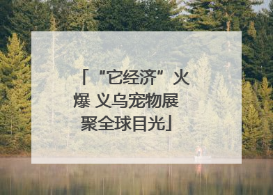 “它经济”火爆 义乌宠物展聚全球目光