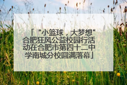 “小篮球，大梦想”合肥狂风公益校园行活动在合肥市第四十二中学南城分校圆满落幕