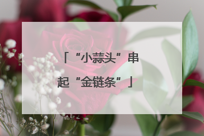 “小蒜头”串起“金链条”