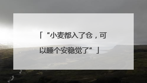 “小麦都入了仓，可以睡个安稳觉了”