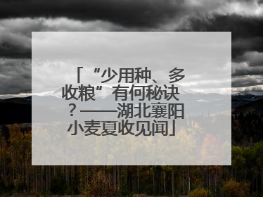 “少用种、多收粮”有何秘诀？——湖北襄阳小麦夏收见闻