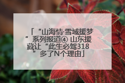 “山海情·雪域援梦”系列报道④ 山东援藏让“此生必驾318”多了N个理由