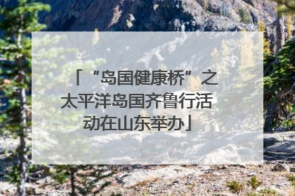 “岛国健康桥”之太平洋岛国齐鲁行活动在山东举办