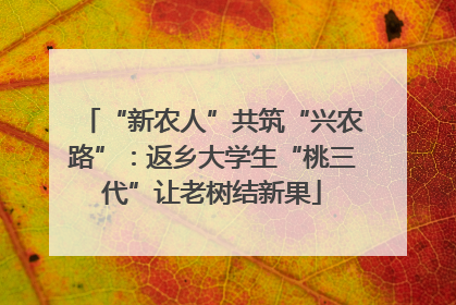 “新农人”共筑“兴农路”：返乡大学生“桃三代”让老树结新果