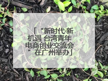 “新时代·新机遇 台湾青年电商创业交流会”在广州举办