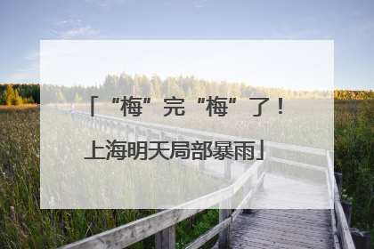 “梅”完“梅”了！上海明天局部暴雨