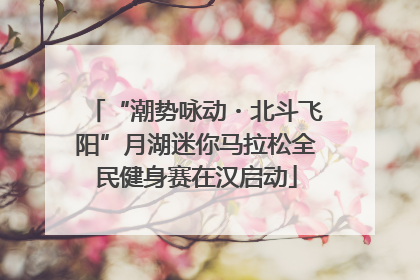 “潮势咏动・北斗飞阳”月湖迷你马拉松全民健身赛在汉启动