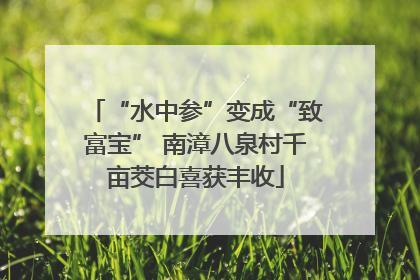 “水中参”变成“致富宝” 南漳八泉村千亩茭白喜获丰收