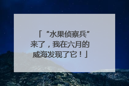 “水果侦察兵”来了，我在六月的威海发现了它！