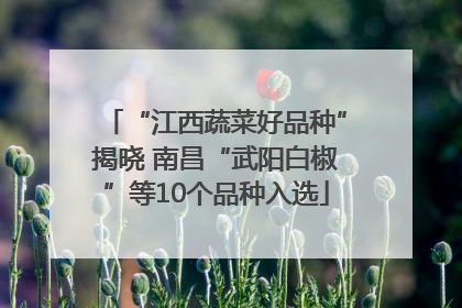 “江西蔬菜好品种”揭晓 南昌“武阳白椒”等10个品种入选