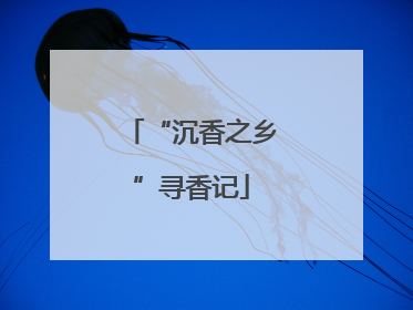 “沉香之乡”寻香记