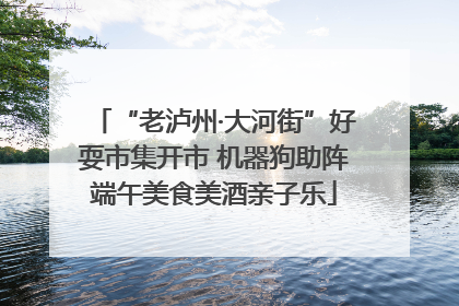 “老泸州·大河街”好耍市集开市 机器狗助阵端午美食美酒亲子乐