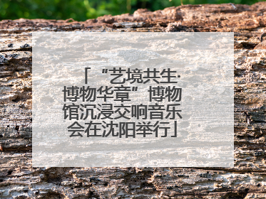 “艺境共生·博物华章”博物馆沉浸交响音乐会在沈阳举行
