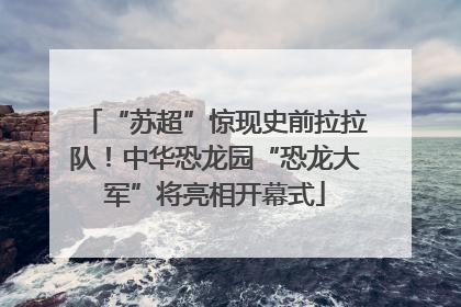 “苏超”惊现史前拉拉队！中华恐龙园“恐龙大军”将亮相开幕式