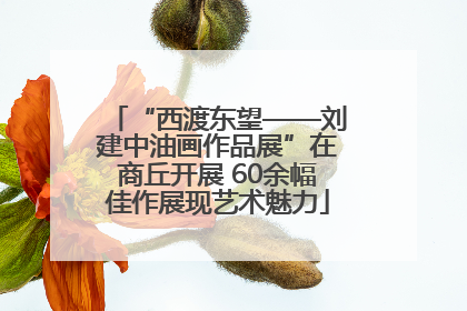 “西渡东望——刘建中油画作品展”在商丘开展 60余幅佳作展现艺术魅力