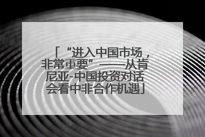 “进入中国市场，非常重要”——从肯尼亚-中国投资对话会看中非合作机遇