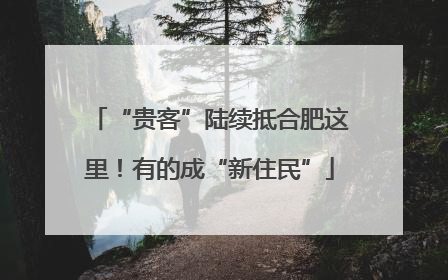 “贵客”陆续抵合肥这里！有的成“新住民”