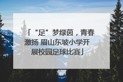 “足”梦绿茵，青春激扬 眉山东坡小学开展校园足球比赛