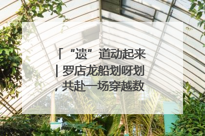 “遗”道动起来｜罗店龙船划呀划，共赴一场穿越数百年的端午之约