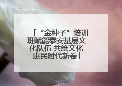 “金种子”培训班赋能泰安基层文化队伍 共绘文化惠民时代新卷