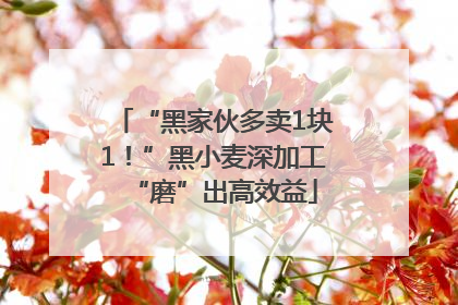 “黑家伙多卖1块1！”黑小麦深加工“磨”出高效益