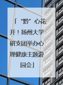 “黔”心花开！扬州大学研支团举办心理健康主题游园会